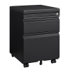 Mobile File Cabinet 2-Drawer Pedestal with Lock for Storage Use for Home Office and Business Enterprise; Legal/Letter Size Black; With 5 Wheels; with