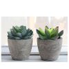 5Pcs Artificial Succulent Cactus Plants; Faux Succulent Cactus Plants with Gray Pots for Home Decor