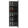 Leto Wall Mounted Shoe Rack With Mirror; Single Door; Capacity For Ten Shoes -Black