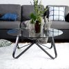 Round Coffee Table for Living Room; 31.5-inch Modern Sofa Side End Table with Tempered Glass Top & Metal Legs; Accent Cocktail Tea Table; 31.5 x 31.5