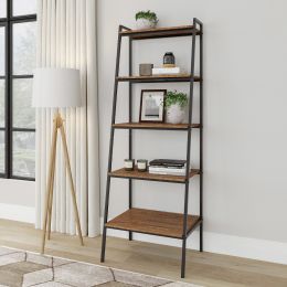 District Indoor Metal 5-Tier Open Ladder Shelf