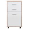 Kenner File Cabinet, 2-Drawer, Reclaimed Wood and White