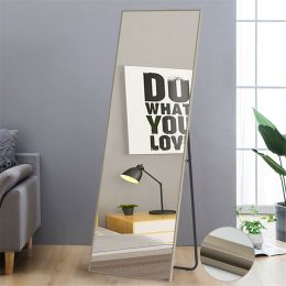 Modern Full Length Mirror, 65" x 22"x 1.2" (Color: Matte Champagne, Material: Aluminum alloy)