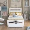 Twin Size Platform Bed with Drawer, Gray